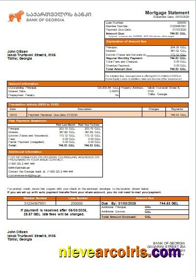 Georgia Bank of Georgia bank mortgage statement